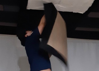 천정보호대